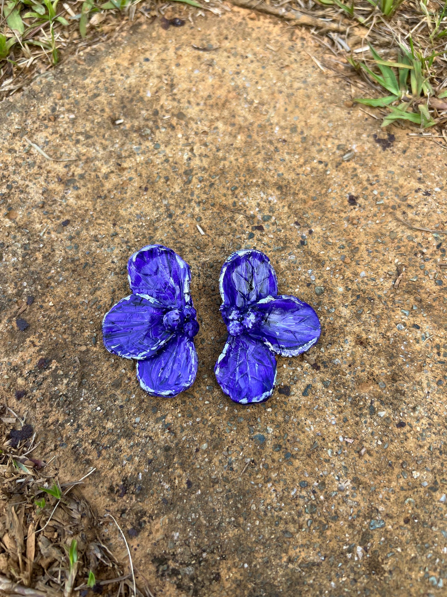 Aretes violeta