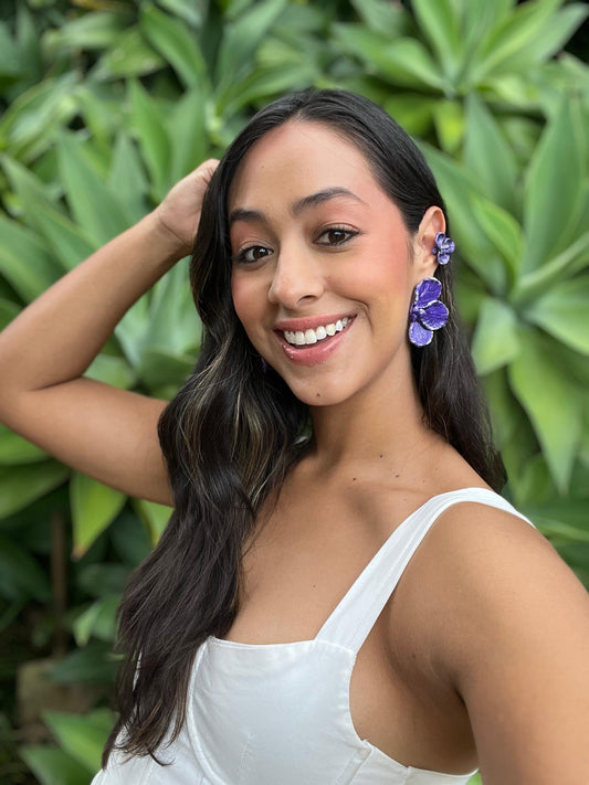 Aretes violeta